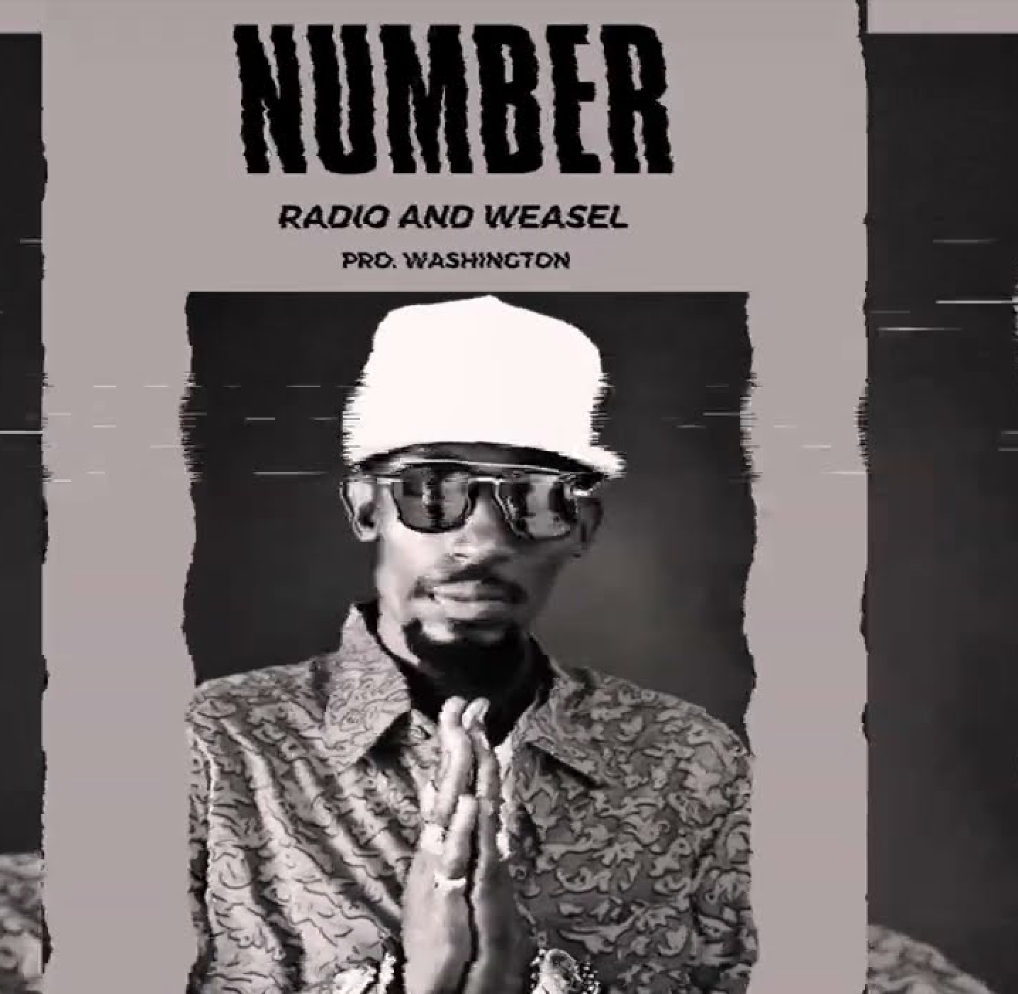 Radio And Weasel